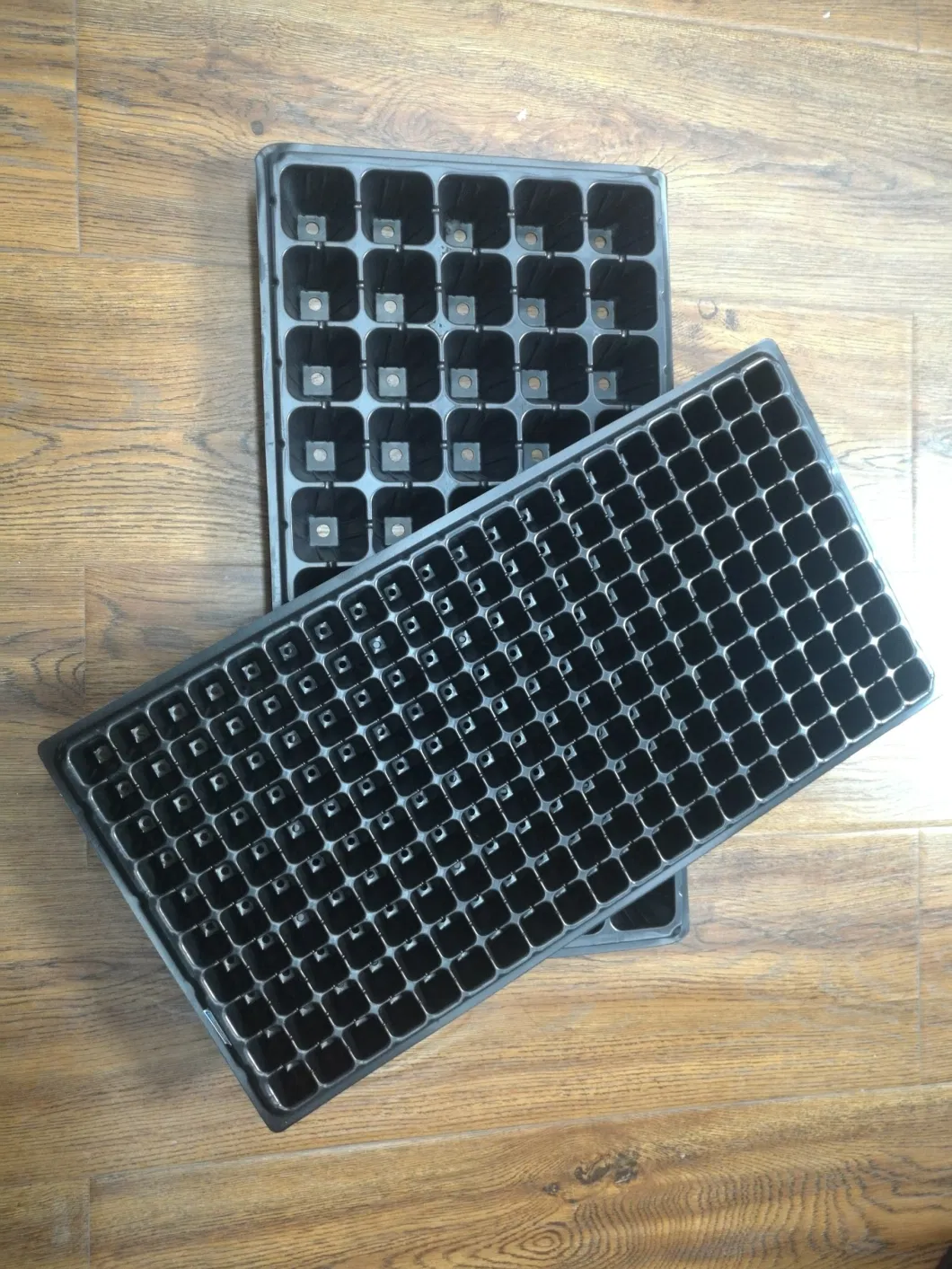 PS or PVC Material Seeding Tray for Greenhouse Growing Seedings