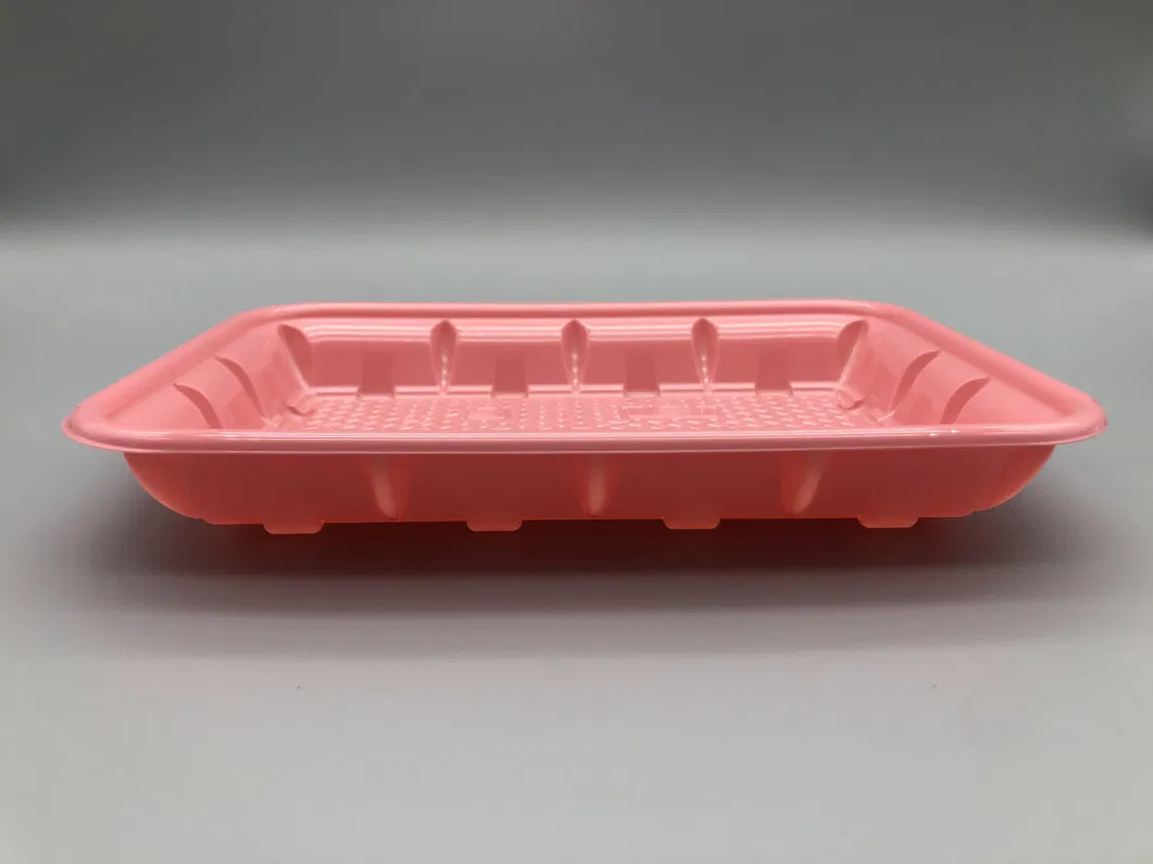 China Eco Friendly Disposable Fruit Meat Vegetable Packaging Blister Square PP Plastic Food Tray for Supermarket